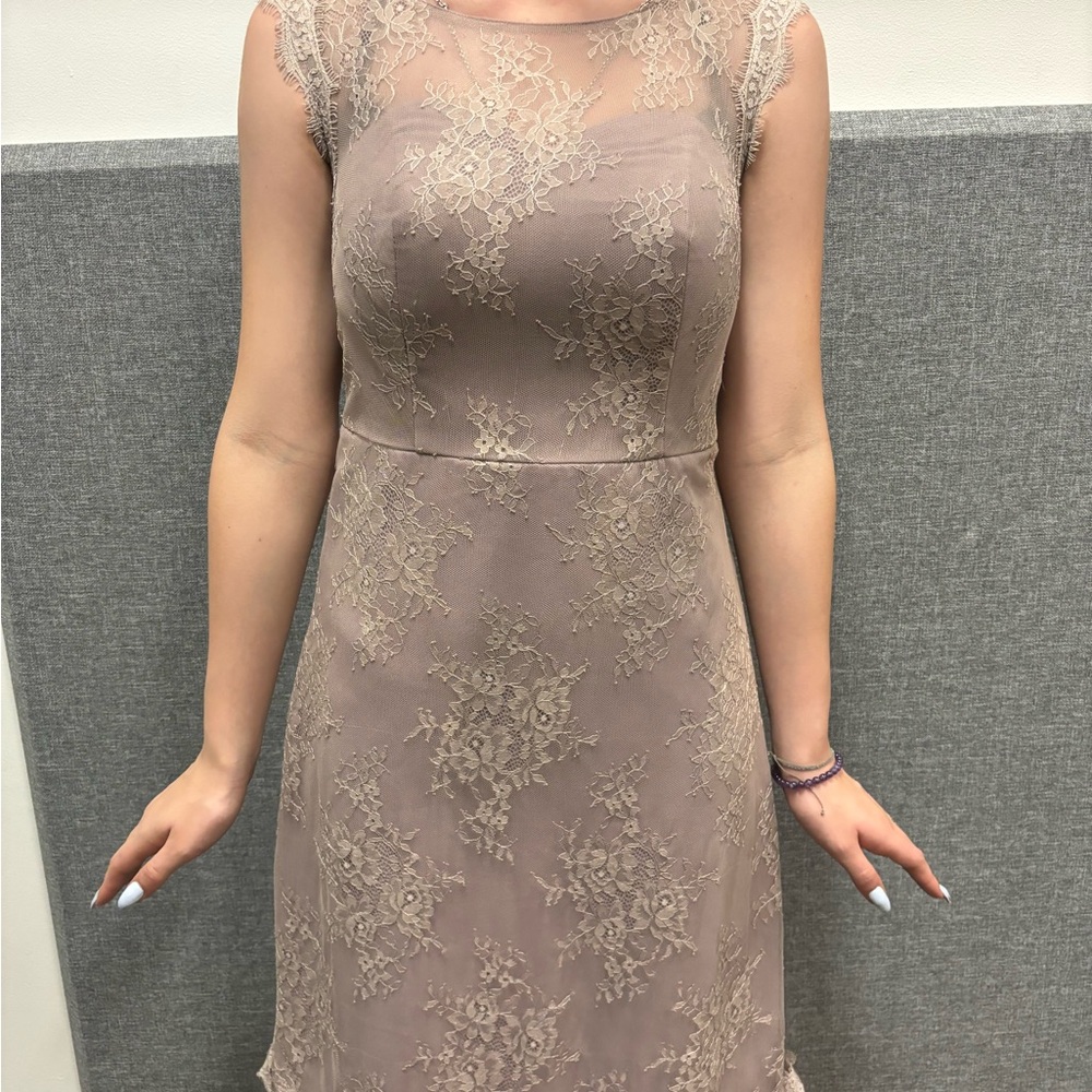 Elegant Lace Dress in Taupe